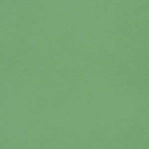 Meet your Posher, Rhiannon